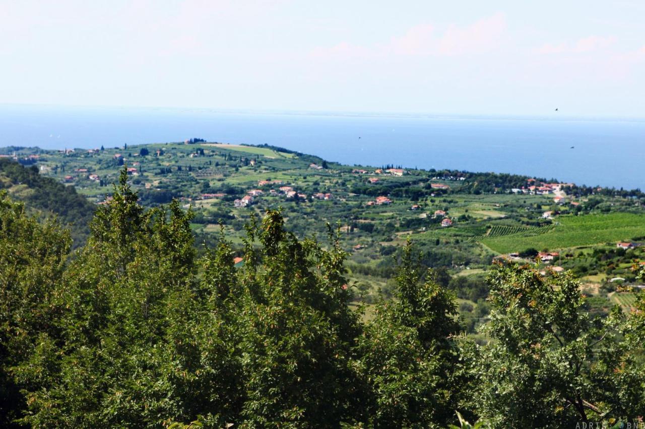 Garden Ville Izola Mira Екстер'єр фото